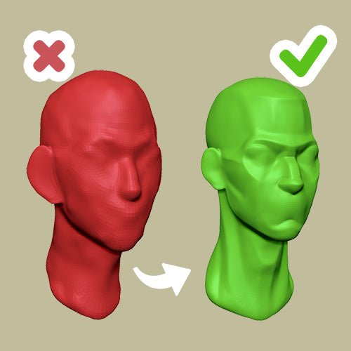 How to Sculpt the Head: Anatomy and Structure