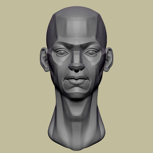 How to Sculpt the Head: Anatomy and Structure