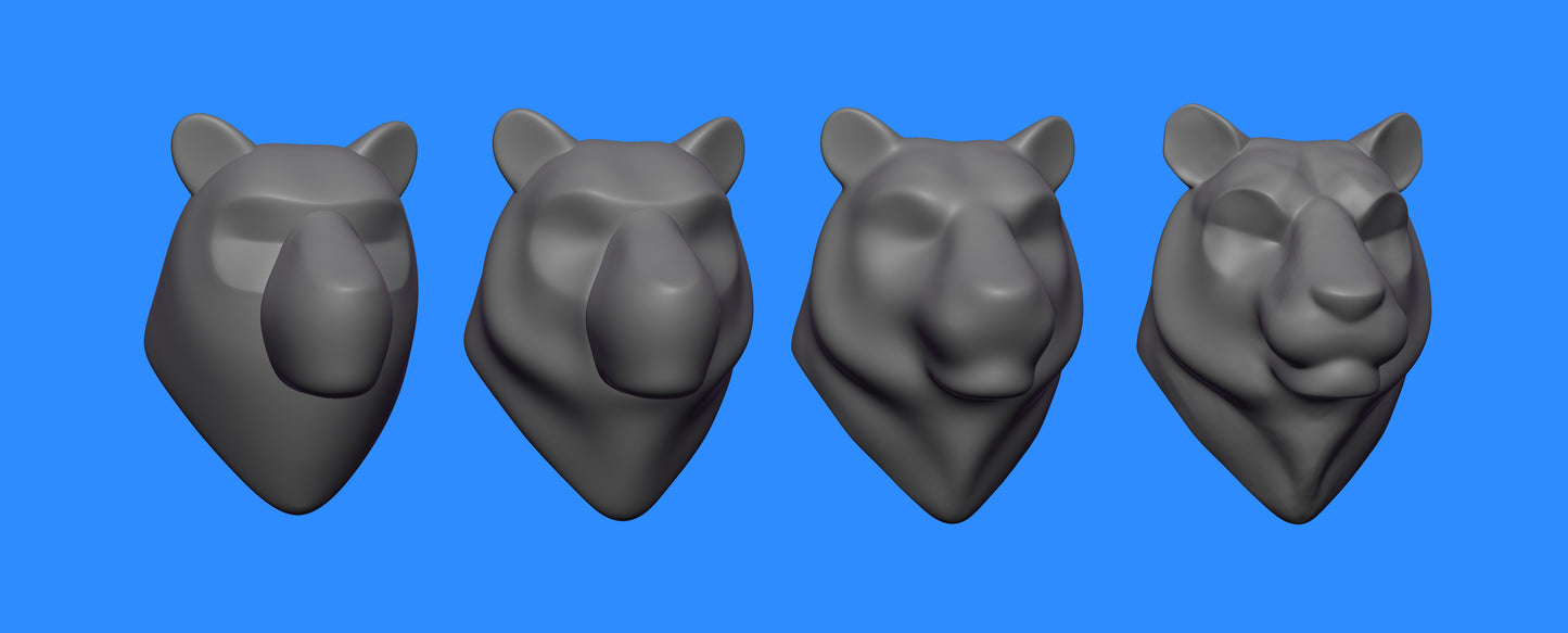 ModelMap: Tiger