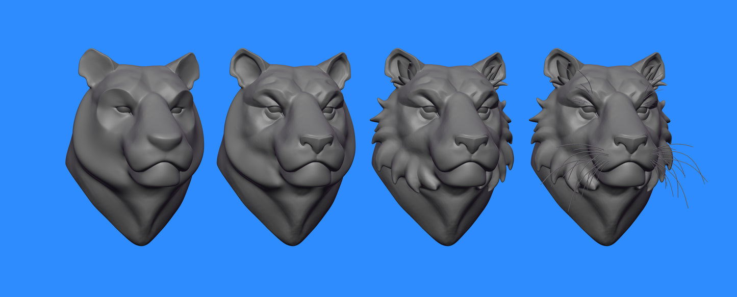 ModelMap: Tiger