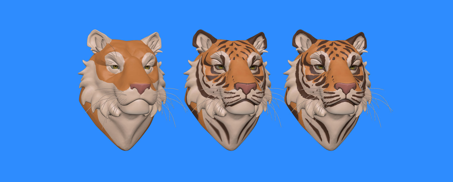 ModelMap: Tiger