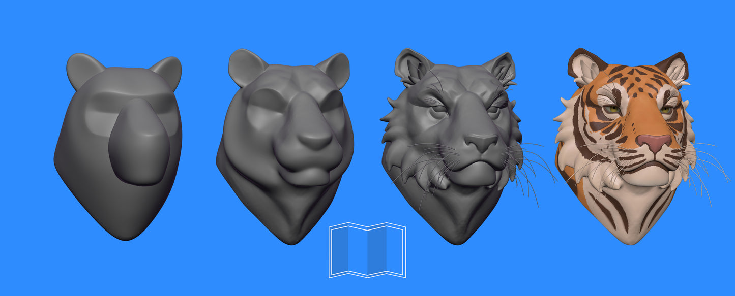 ModelMap: Tiger